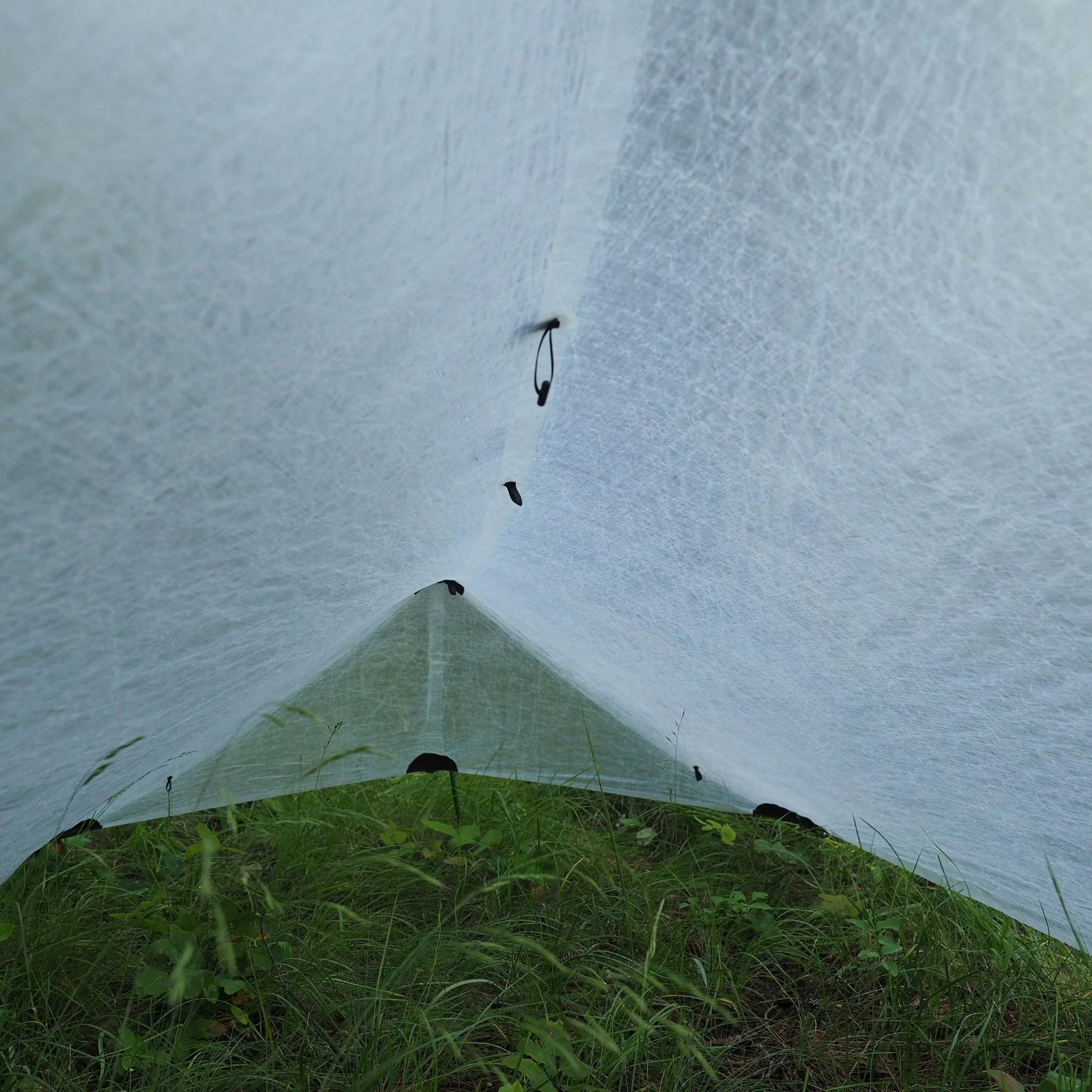 1P Cirriform Tarp - DCF - Image 14