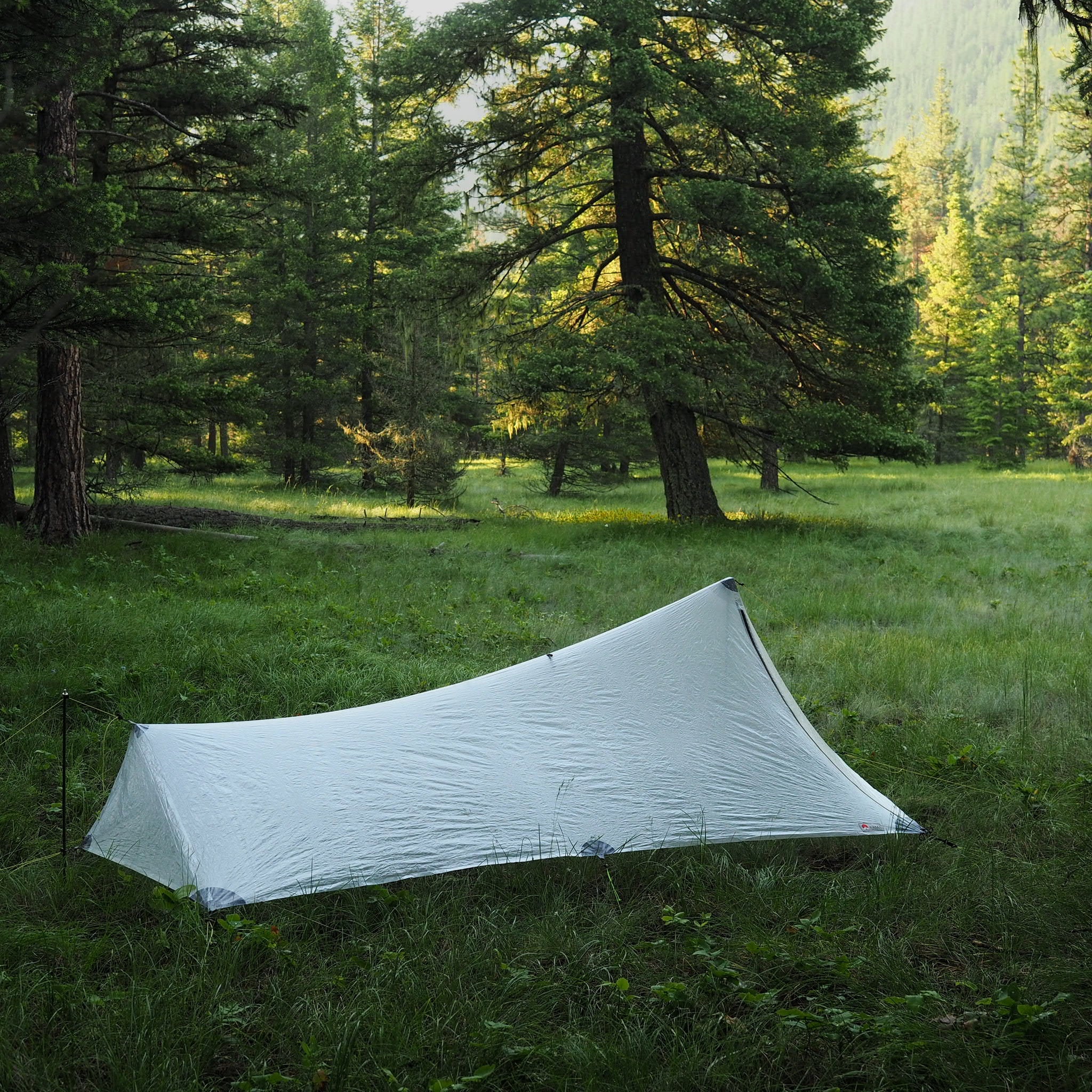 1P Cirriform Tarp - DCF - Image 5