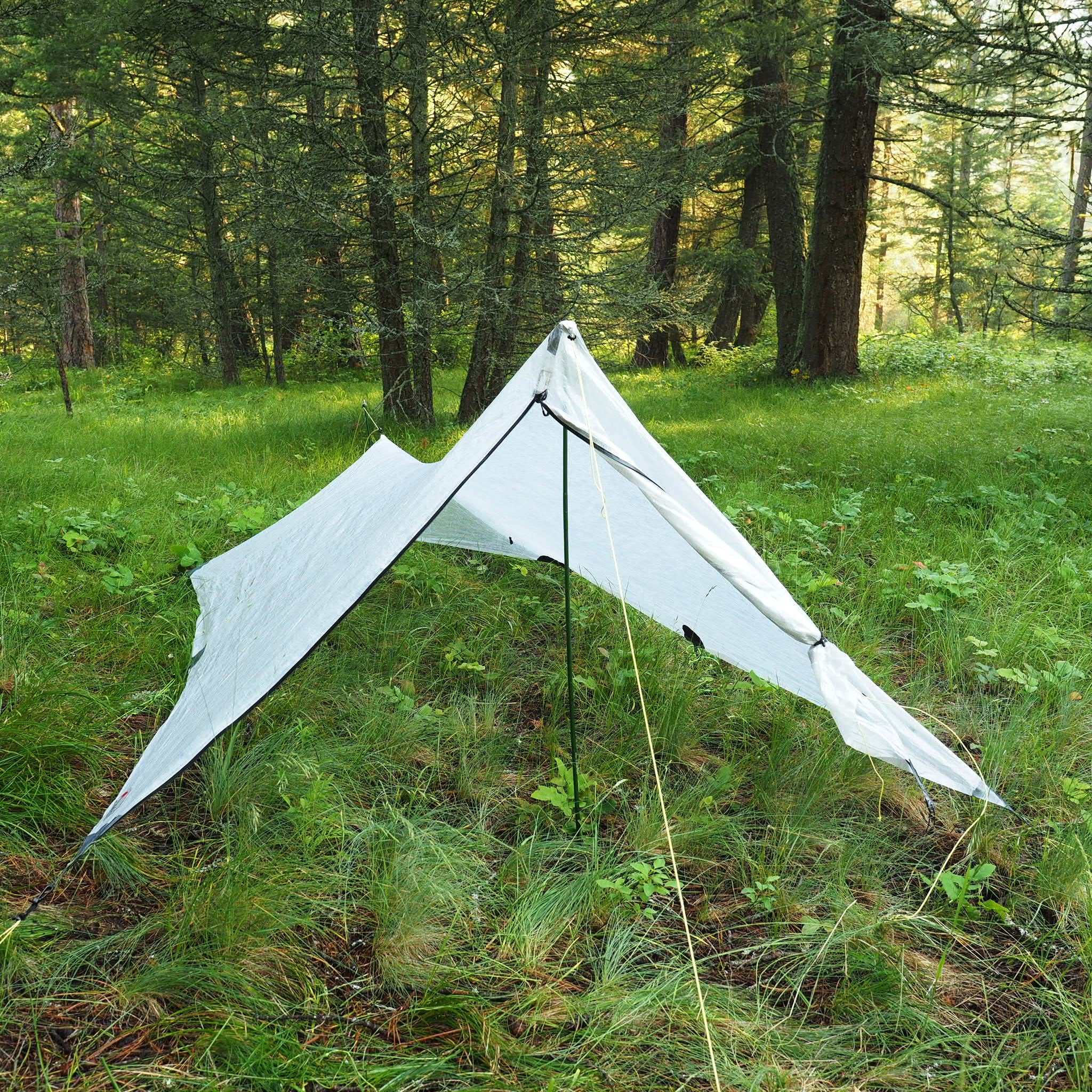 1P Cirriform Tarp - DCF - Image 7