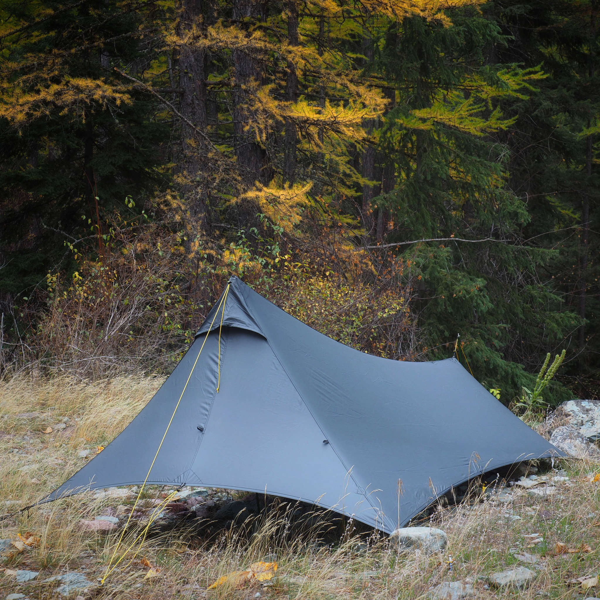 Shelters