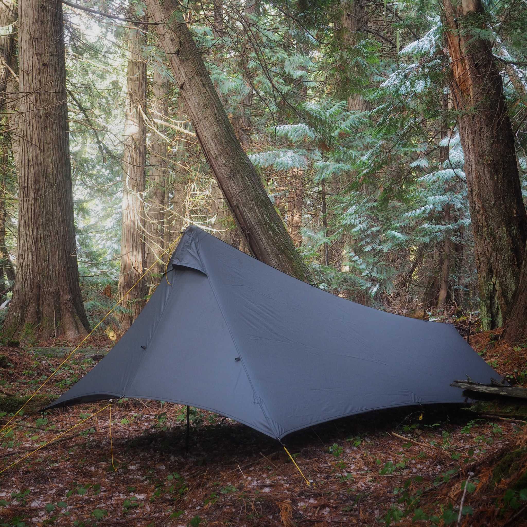 1P Cirriform Tarp - Image 4