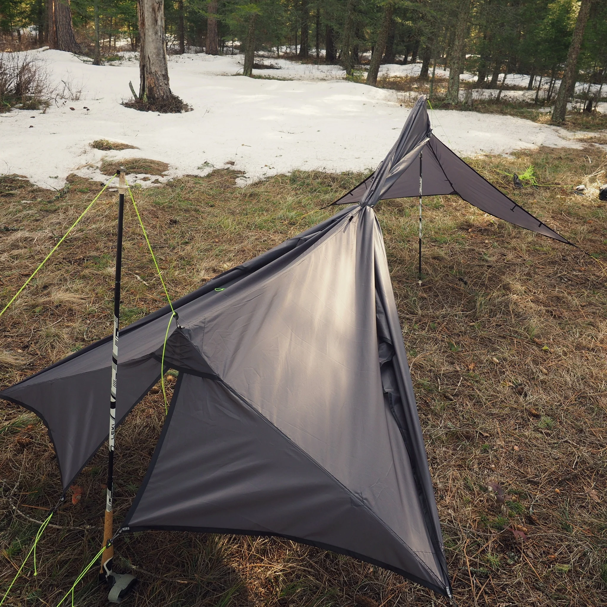 2P Cirriform Tarp - Image 7