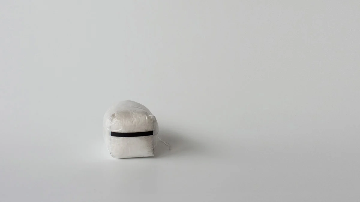DCF Stuff Sack - Schmedium! - Image 6